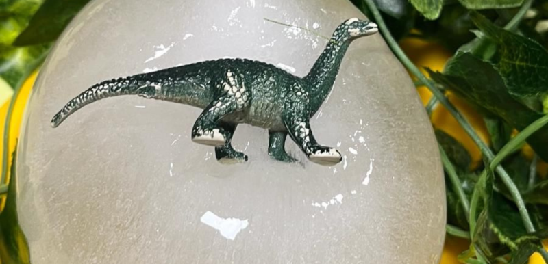 Apprendre anglais Marseille